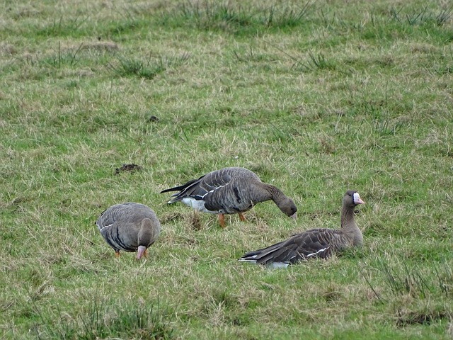 孟加拉国U17四连胜暂列小组第一，末轮对话国少竞争唯一出线名额