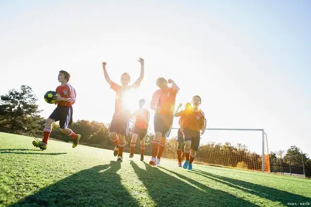 混团世界杯：国乒狂轰8-0横扫韩国！双王、栋曼立功，孙颖莎休战